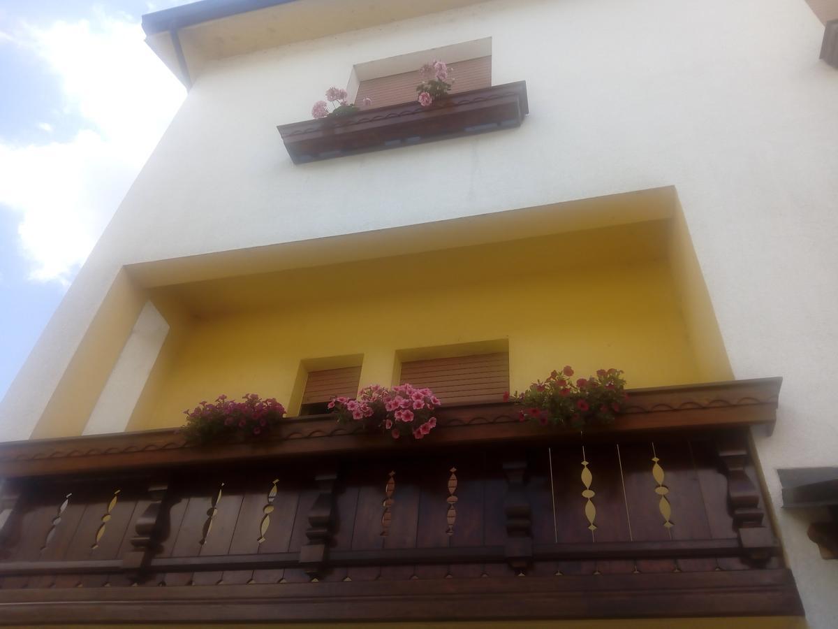 Albergo Alla Pineta Villa Santina Extérieur photo