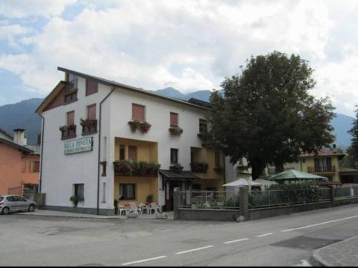 Albergo Alla Pineta Villa Santina Extérieur photo