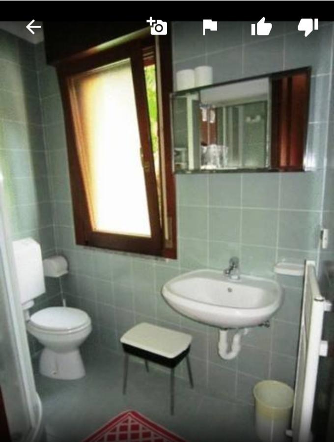 Albergo Alla Pineta Villa Santina Extérieur photo